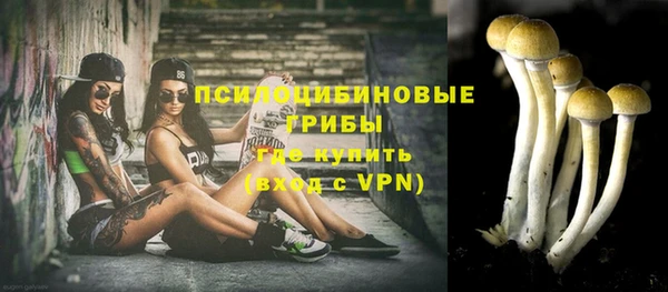 бошки Алексеевка