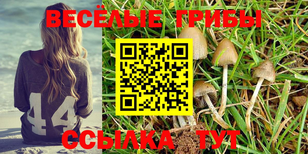 Галлюциногенные грибы ЛСД Новоуральск