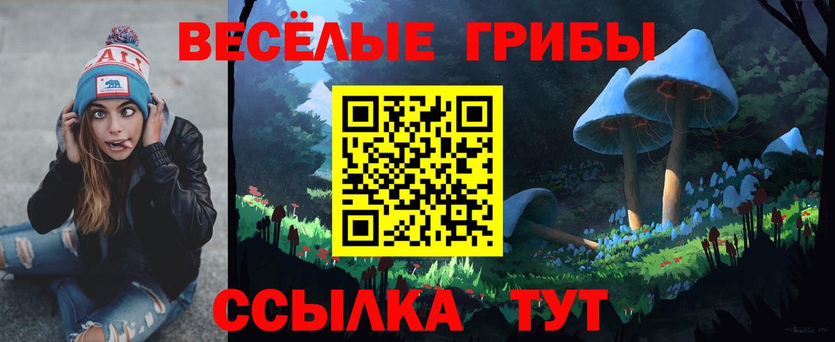 Галлюциногенные грибы Psilocybe  Вход с VPN  Новоуральск 